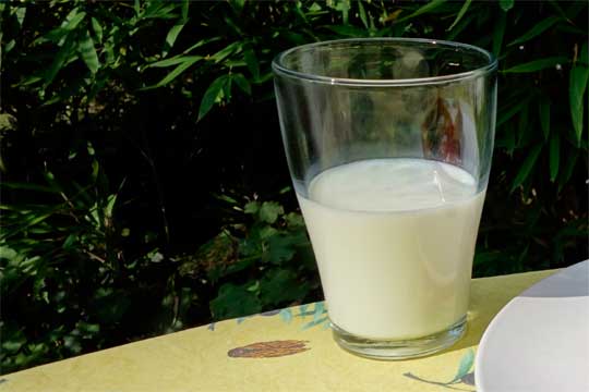 Milchglas